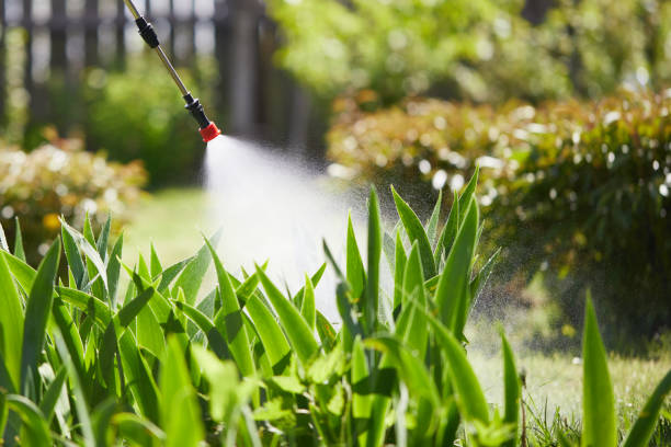 24/7 Emergency Mosquito Control experts in Lake Monticello, VA